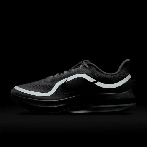 Buty do biegania męskie Nike Pegasus Premium photon dust/metallic Silver/black