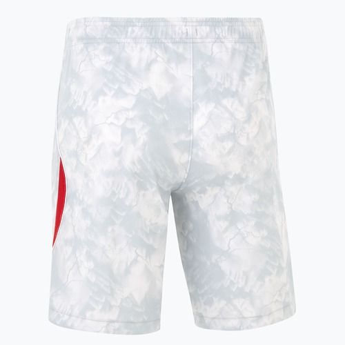 Spodenki reprezentacji Polski męskie domowe Nike Dri-Fit white/field silver