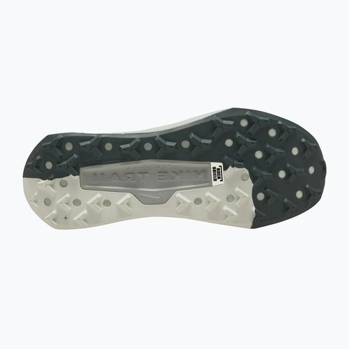 Buty do biegania męskie Nike Wildhorse 10 spruce fog/sea glass/black spruce