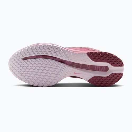 Buty do biegania damskie Nike Pegasus Premium pink smoke/light magenta/pink smoke