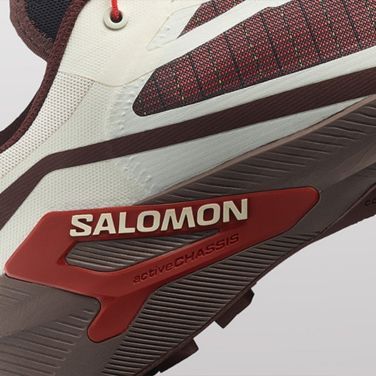 Buty do biegania męskie Salomon Genesis 2 vanilla ice/iron
