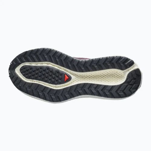Buty do biegania damskie Salomon Aero Glide 4 GRVL huckleberry/black