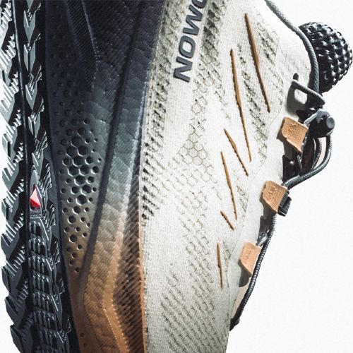 Buty do biegania męskie Salomon Aero Blaze 4 GRVL GTX vanilla ice/black