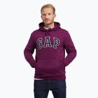 Bluza męska GAP V-Heritage Logo PO SNL beach plum