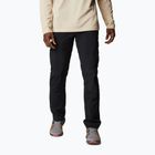 Spodnie trekkingowe męskie Columbia Silver Ridge II Cargo black