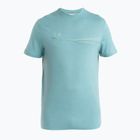 Koszulka trekkingowa męska icebreaker Merino 150 Tech Lite III cloud ray