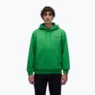 Bluza męska Napapijri B-Linth Hooded green kelly