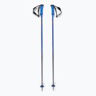 Kije narciarskie Salomon Polar Pro race blue