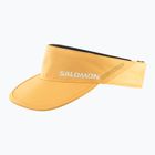 Daszek Salomon SHAKEout apricot