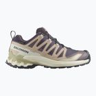 Buty do biegania damskie Salomon XA Pro 3D V9 GTX nine iron/oxford tan