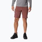 Spodenki trekkingowe męskie Columbia Titan Pass light raisin