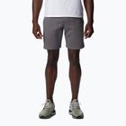 Spodenki trekkingowe męskie Columbia Logo Fleece city grey heather