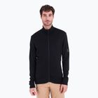 Bluza trekkingowa męska icebreaker Merino 260 Quantum IV Zip black