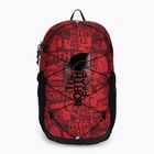 Plecak miejski dziecięcy The North Face Court Jester 24,5 l red brand proud print/black