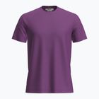 Koszulka trekkingowa męska icebreaker Merino 150 Tech Lite III passion
