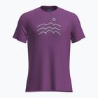 Koszulka trekkingowa męska icebreaker Merino 125 Cool-Lite Sphere Tee Across The Peaks passion