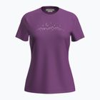 Koszulka trekkingowa damska icebreaker Merino 150 Tech Lite SS Tee Sparkling Stars passion