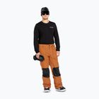 Spodnie snowboardowe męskie Volcom Roan caramel