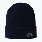 Czapka zimowa męska The North Face Norm Beanie summit navy