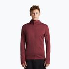 Bluza męska Icebreaker Merino 260 Quantum IV LS Zip Hoodie port/agate
