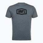 Koszulka męska 100% Icon heather grey