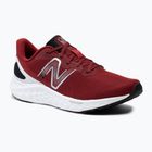 Buty do biegania męskie New Balance Fresh Foam Arishi V4 cromson