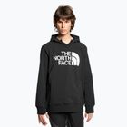 Bluza męska The North Face Tekno Logo Hoodie black