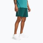 Spodenki treningowe męskie Under Armour Woven Wordmark hydro teal/radial turquoise