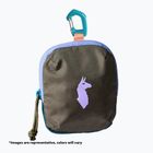 Saszetka Cotopaxi Allpita Mini del dia