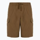 Spodenki męskie Vans Range Cargo Loose Short