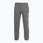 Spodnie męskie The North Face Varsity Graphic medium grey heather