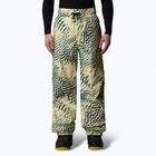 Spodnie narciarskie męskie The North Face Build Up nettle the lift print