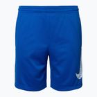 Spodenki dziecięce Nike Trophy 23 Dri-Fit game royal