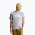 Koszulka męska The North Face Evolution Half Dome tnf pale grey heather