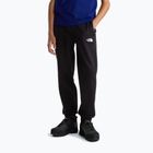 Spodnie męskie The North Face Performance Fleece Jogger tnf black
