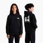 Bluza dziecięca The North Face Evolution Box NSE Pullover Hoodies tnf black