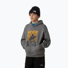 Bluza dziecięca The North Face Sports Oversized Hoodie Graphic smoked pearl