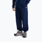 Bluza męska The North Face Evolution Simple Dome Regular Hoodie summit navy