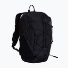 Plecak turystyczny The North Face Borealis Trail 27 l tnf black
