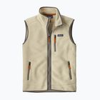 Bezrękawnik męski Patagonia Retro Pile Fleece pelican