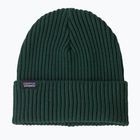 Czapka zimowa Patagonia Fishermans Rolled Beanie cascade green