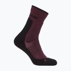 Skarpety męskie icebreaker Merino Hike+ Heavy Crew java/black