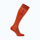 Skarpety narciarskie męskie icebreaker Merino Ski+ Ultralight OTC fervid/agate