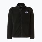 Bluza dziecięca The North Face Glacier Full Zip tnf black