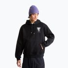 Bluza męska The North Face Apex '75 Collage Relaxed Hoodie tnf black