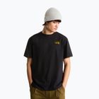 Koszulka męska The North Face Apex '75 Collage Relaxed Hoodie tnf black