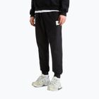 Spodnie męskie The North Face Evo Box Half Dome Regular Tappered tnf black