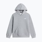 Bluza dziecięca The North Face Evolution Simple Dome Pullover Hood tnf pale grey heather