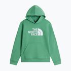 Bluza dziecięca The Noryh Face Essential Drew Peak Hoodie dimmed algae