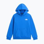 Bluza dziecięca The North Face Evolution Box NSE Pullover Hoodies active blue